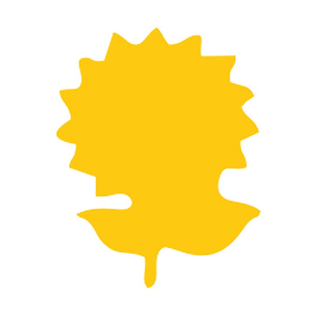 Sticky Insect Board Insect Double-sided Yellow Board Insect