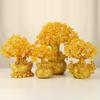 62KD Yellow Crystal Lucky-Tree Desktop Ornament Chinese Feng Shui Money Tree for Creative Fortune Tree Decoration for Home Of