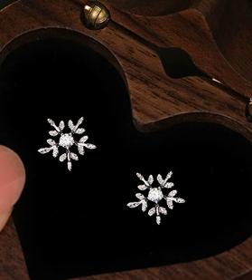 E173 -S925 Sterling Silver Snowflake Series Earrings for Women Fashionable Light Luxury Design Christmas Jewelry Gift