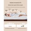 Foldable Natural Coconut Palm Mattress