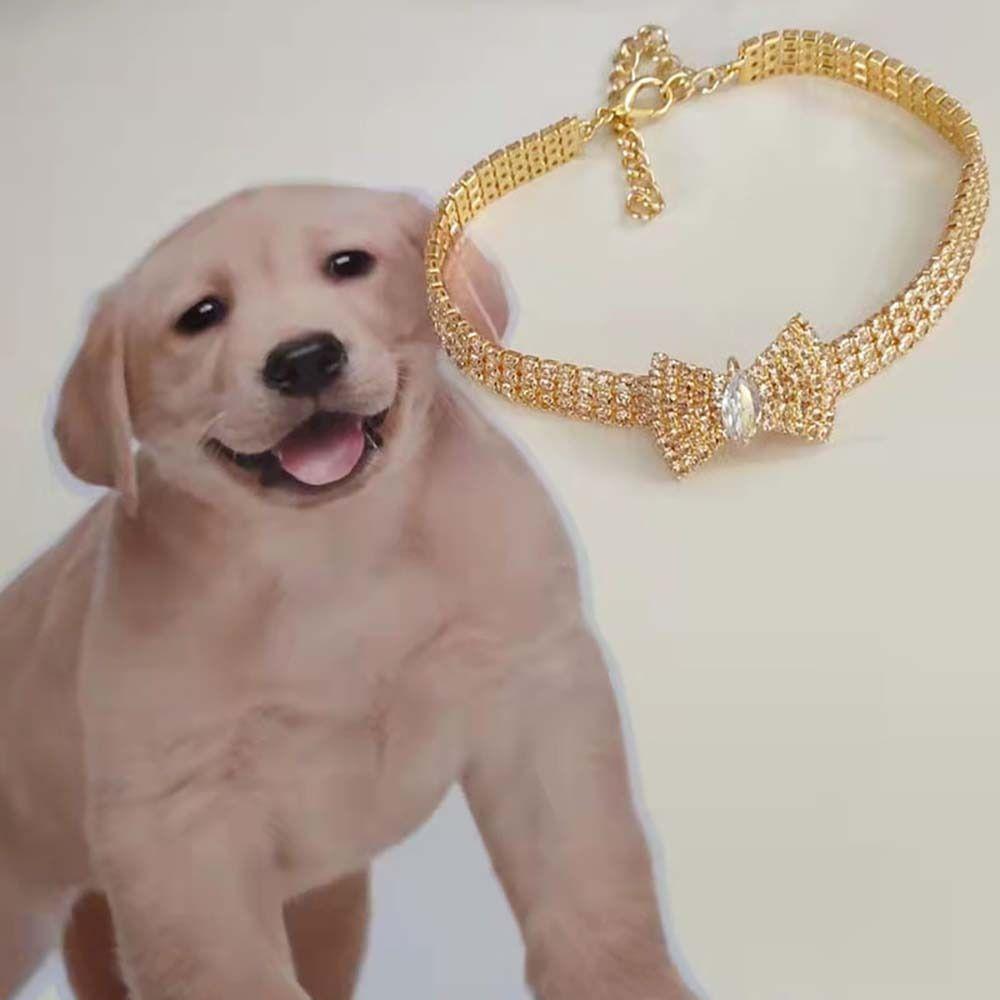 Choker For Cat and Dog Puppy Accessories Dog Chain Pet Supplies Pet Collar Dog Necklace Cat Jewelry