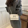 Stylish Trendy Street Chic Crossbody Bag For Women 2024 Summer Chain Shoulder Bag With Magnetic Closure