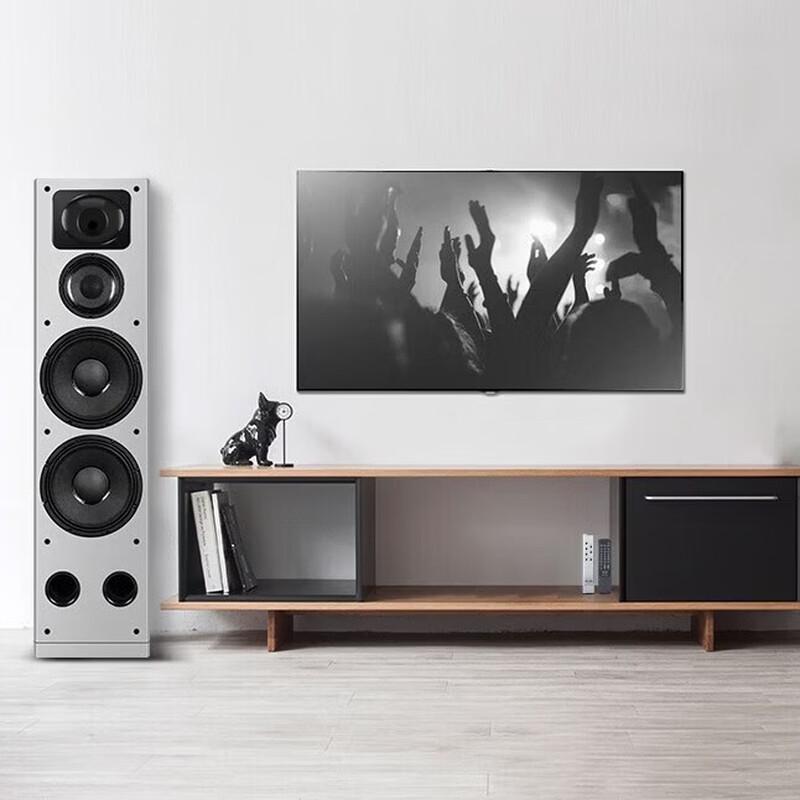 Домашняя Bluetooth-аудиосистема KTV SANSUI T5 (Китайская версия)