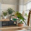 Bite Resistant Parrot Bell Pendant Colored Beads Parrots Chew Swing Bird Cage Toys  Beak Exercise