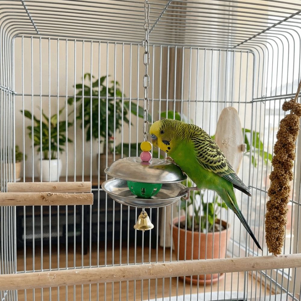 Bite Resistant Parrot Bell Pendant Colored Beads Parrots Chew Swing Bird Cage Toys  Beak Exercise