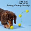 High Elasticity Pet Toy Ball Latex Squeaky Toy Ball Molar Ball Teeth Cleaning Toy  Pet Supplies