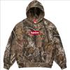 Supreme Box Logo Hooded Sweatshirt (25FW) Realtree AP Camo