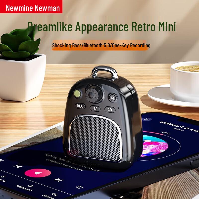 NEWMINE DP06 Ретро Беспроводной Bluetooth Динамик CN вилка (адаптер в комплекте) (Китайская версия)