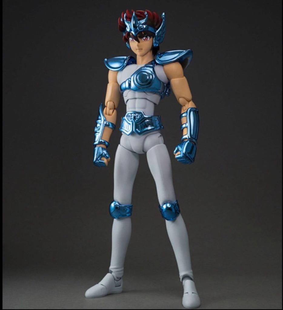 Tamashii Nation 2023 Limited Edition Saint Seiya Cloth Myth Pegasus Seiya Bronze (Original Cloth) <Original Version>