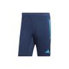 Striped Logo Print Soccer Shorts Argentina Tiro 23 Men Shorts Blue HF3936