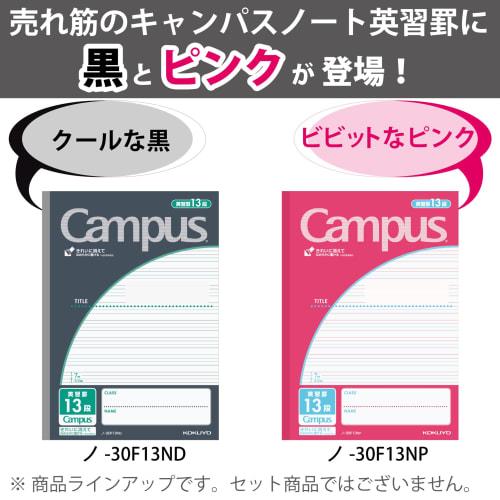 KOKUYO Campus Notes by Purpose English Study Ruler Pink No-30F13P