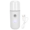 Nano Facial Mist Sprayer Mini Portable Face Moisturizing Spray for Skin Care (30ml)