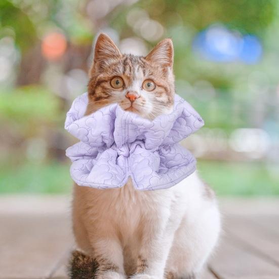 Ошейник для восстановления, чтобы не лизать, кусаться, легко есть, пить, вышивать цветами, теплый кот