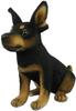 BH8423 HANSA TC Pinscher 16