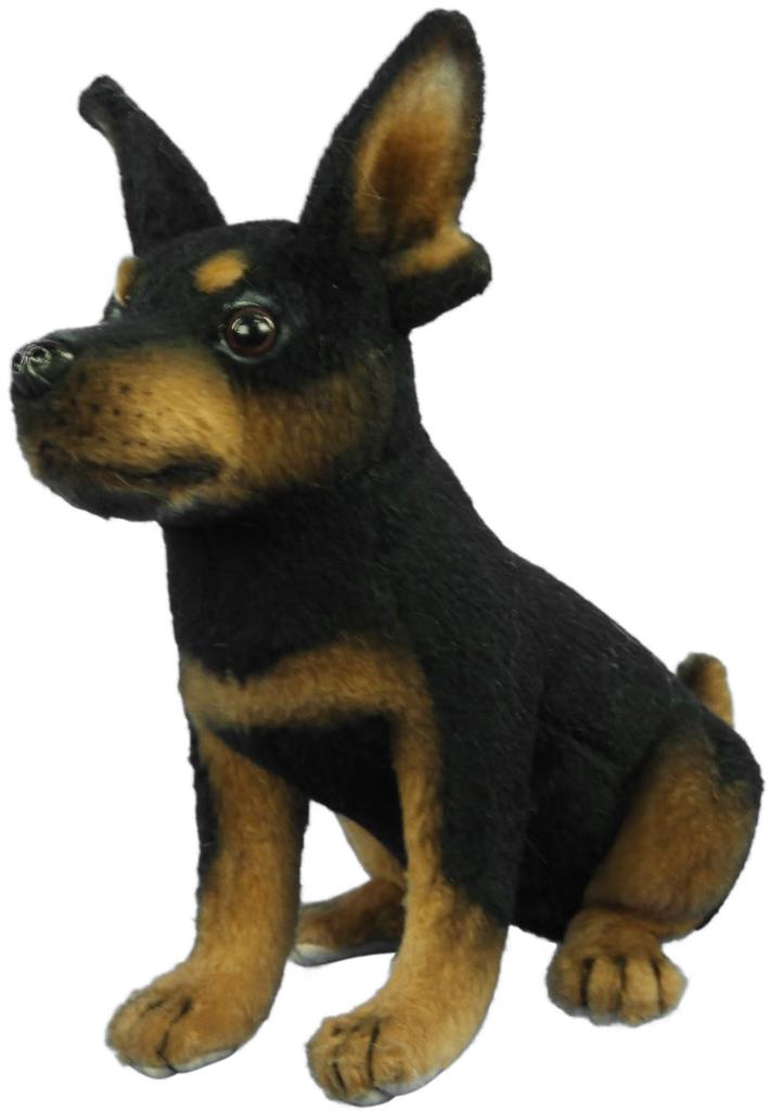 BH8423 HANSA TC Pinscher 16