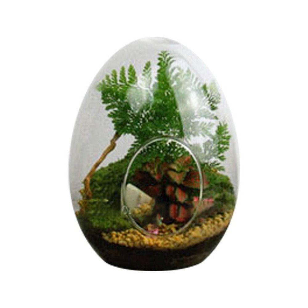Egg-shaped Terrarium Succulent Glass Vase Micro Landscape Glass Home Decoration Glass Bottles