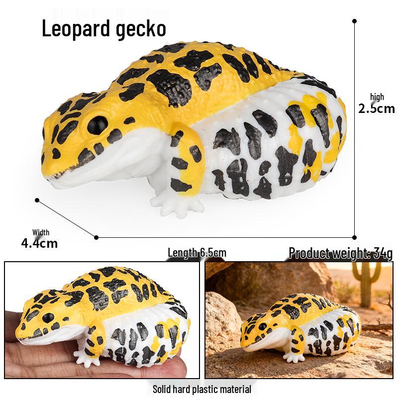 Cute Animal Models: Japanese Raccoon, Flying Squirrel, Monkey, Rabbit, Squirrel, Shiba Inu, Tiger, Lion, Lizard Toy Set