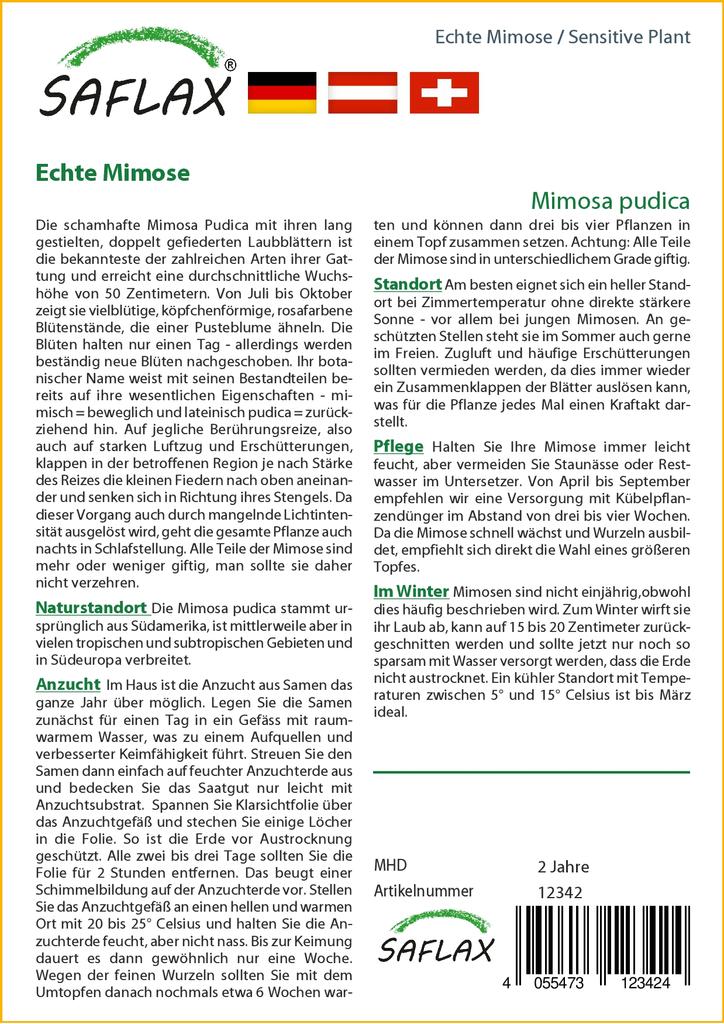 SAFLAX Sensitive Plant - 70 семян - С горшечным субстратом для лучшего выращивания - Mimosa pudica