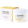 Ceramide Vitamin Cream 100ml