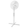 Maurer Pedestal Fan 123 Cm. of High