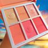 6 color blush palett