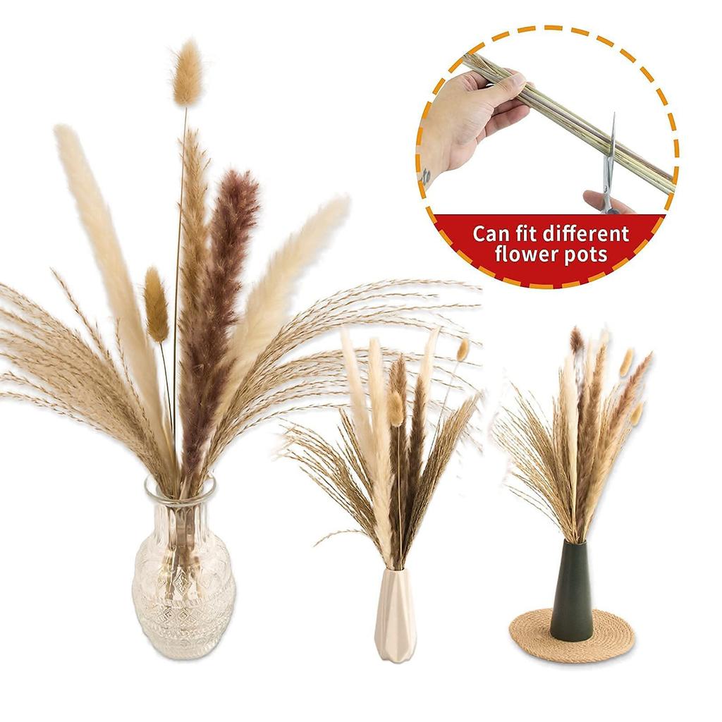 17" Dried Pampas Grass Decor, 100 Stems Pampas Grass Contains Bunny Tails Dried Flowers, Reed Grass Bouquet for Wedding Boho Flowers Home Table Decor