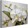Canvas Print, Painted Orchid Flower