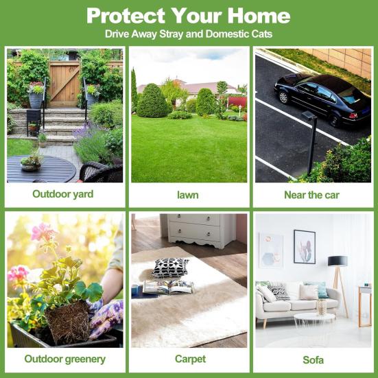 12 шт. шариков-отпугивателей кошек, долговечные ароматические шарики с маслом перечной мяты, отпугивающие шарики для собак, не пускают кошек в сад, для защиты растений и мебели