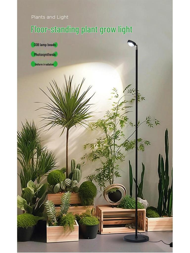Full Spectrum Indoor Grow Light - Professional Floor Standing LED for Plants, Succulents, and Flowers
