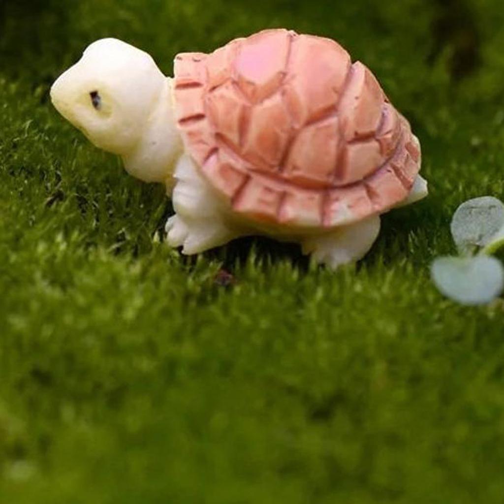 Miniature Turtle Dollhouse Bonsai Garden Garden Landscape Home Decorations
