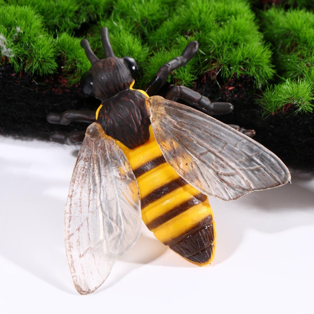 Cycle Plastic Models Life Cycle Figurine Simulation Animals Action Figures Growth Cycle Model