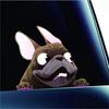 Cute Waterproof Dog Car Window Stickers and Funny Vinyl Decals