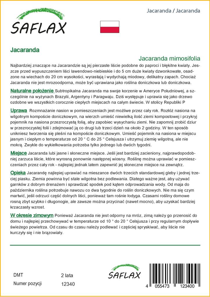 SAFLAX Jacaranda - 50 семян - С горшечным субстратом для лучшего выращивания - Jacaranda mimosifolia