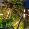 Oeny Retro Solar Outdoor String Lights