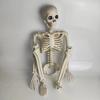 Halloween Skeleton Decoration 35" Full Body Skeleton Bone Statue Posable Joints Skull Ornament for Yard Lawn Garden Patio Scene Display
