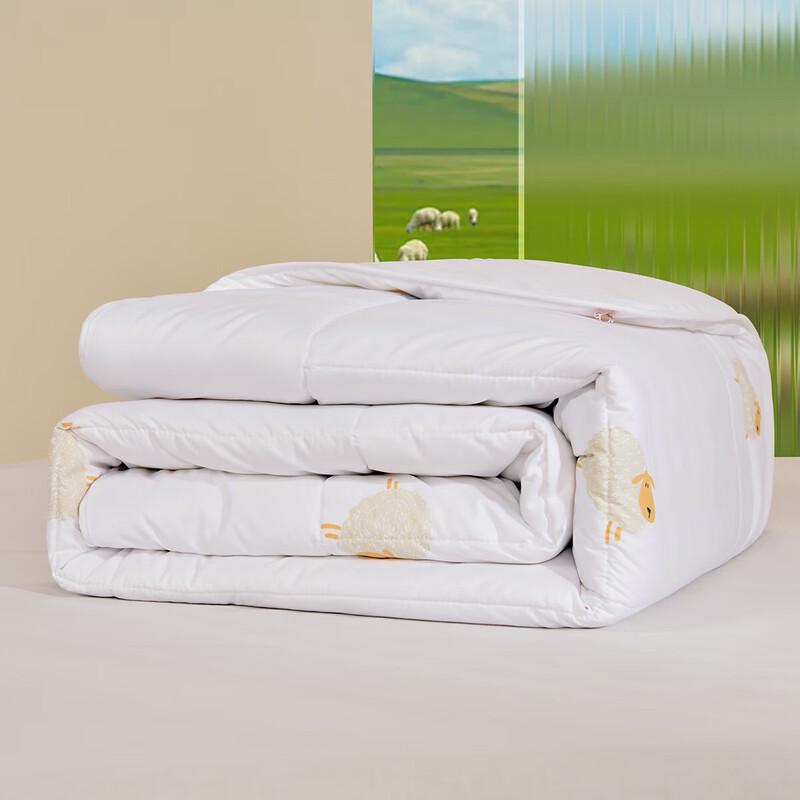 Mercury Home Textiles Shuman Antibacterial Anti-mite Quilt