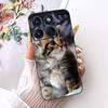 For Motorola Edge 70 Case XT2601-2 Cute Cat Peacock Painted Cover Soft Silicone Case For Motorola Edge 70 Fusion Edge70 5G Shell