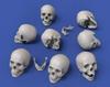 Royal Model 1/32 Skull (54mm) 8-Piece Resin Kit RM912