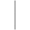 Wall Mirror Black 40x80 cm Rectangular Iron