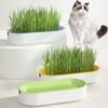 Cat Grass Plant Box Pet Growing Pot For Kitten Reusable Cat Snack Catnip Hydroponics Planting Container Greenhouse Grow Box