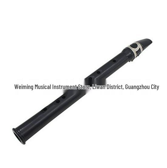 Mini Portable Pocket Saxophone Recorder