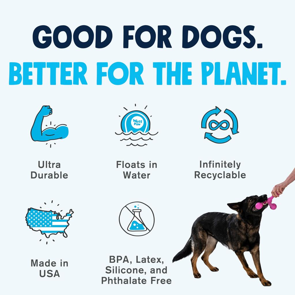 West Paw Dog Toy Zogoflex Echo Scamp Egg Plant (Purple)