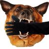 Dog Bite Prevention Gloves for Cat and Dog Training, Hand Protection for Pet Training, 1 Piece, Black