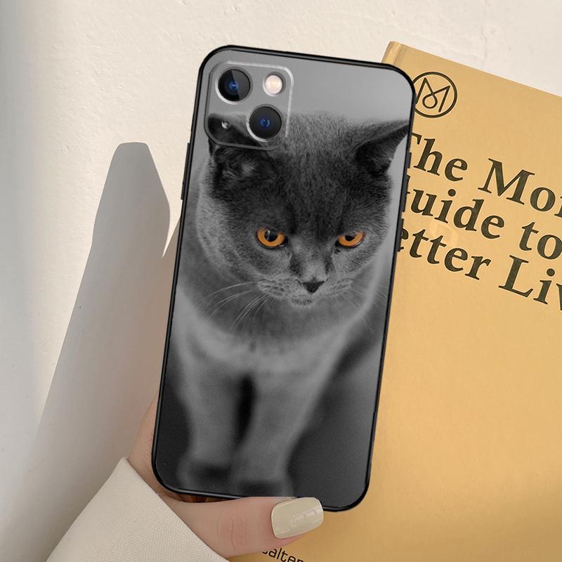 Чехол для телефона Британская короткошерстная кошка Для iPhone 17 16 15 14 11 12 13 Pro Max mini XR 16e 15 16 Plus 17 Air Полное покрытие