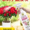 Azalea & Rhododendron Flower Fertilizer for Yellow Leaves and Enhanced Blooming