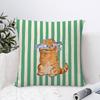 Design Stripes Pillow Case Sofa Decorative Home Double-sided Print Plush Square Throw Pillow Covers Cushion Decor Cover