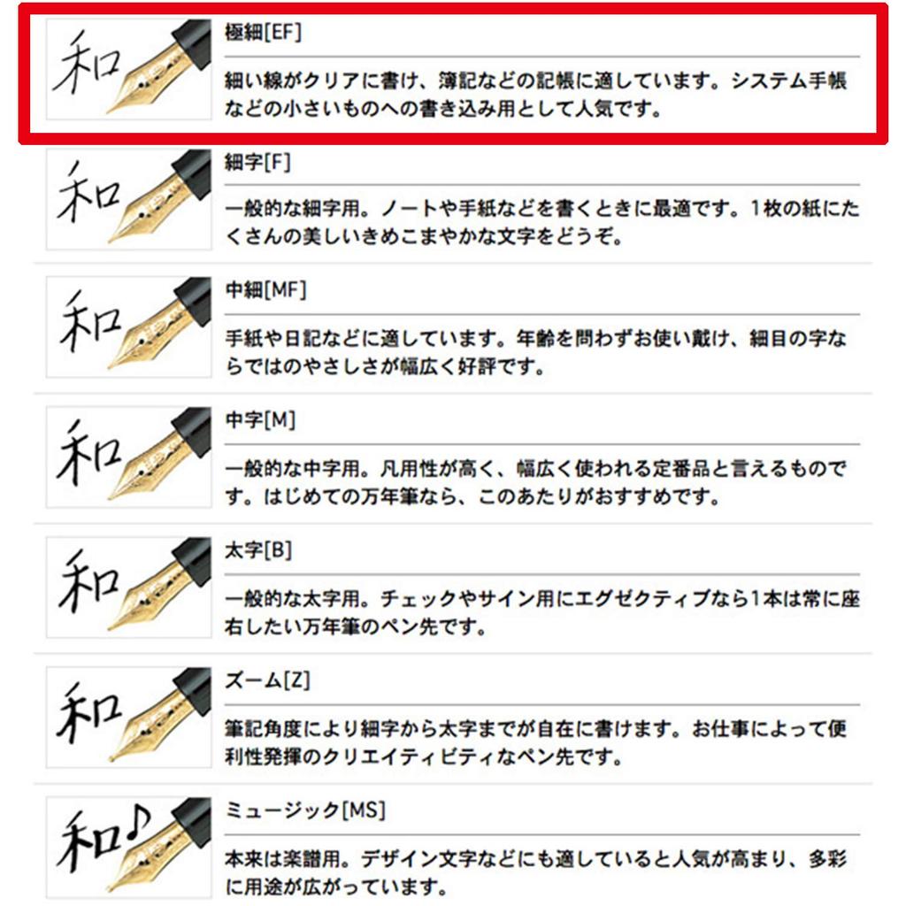 Sailor Fountain Pen Profit Standard Black Extra Fine 11-1219-120