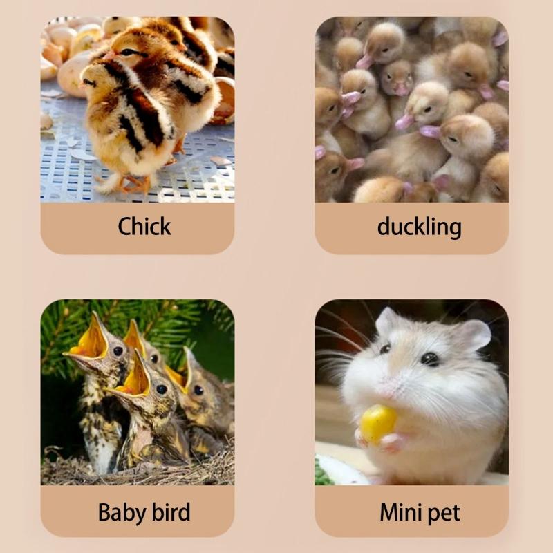 220V Height Adjustable Chicken Brooder Heating Plate for Chick Providing Cozy Warmth in Cold Weather