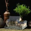 Village House Statue Miniature Gardening Landscape Planter Decorative Mini Decor Crafts Resin
