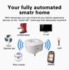 Умная розетка Wi-Fi, Франция, управление приложением Tuya, поддержка Google Home, голосовая розетка Alexa, синхронизация, бытовая техника 100-240 В